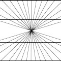 Curved or Straight Lines? Optical Illusion Picture