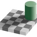 Shades of Gray Illusion